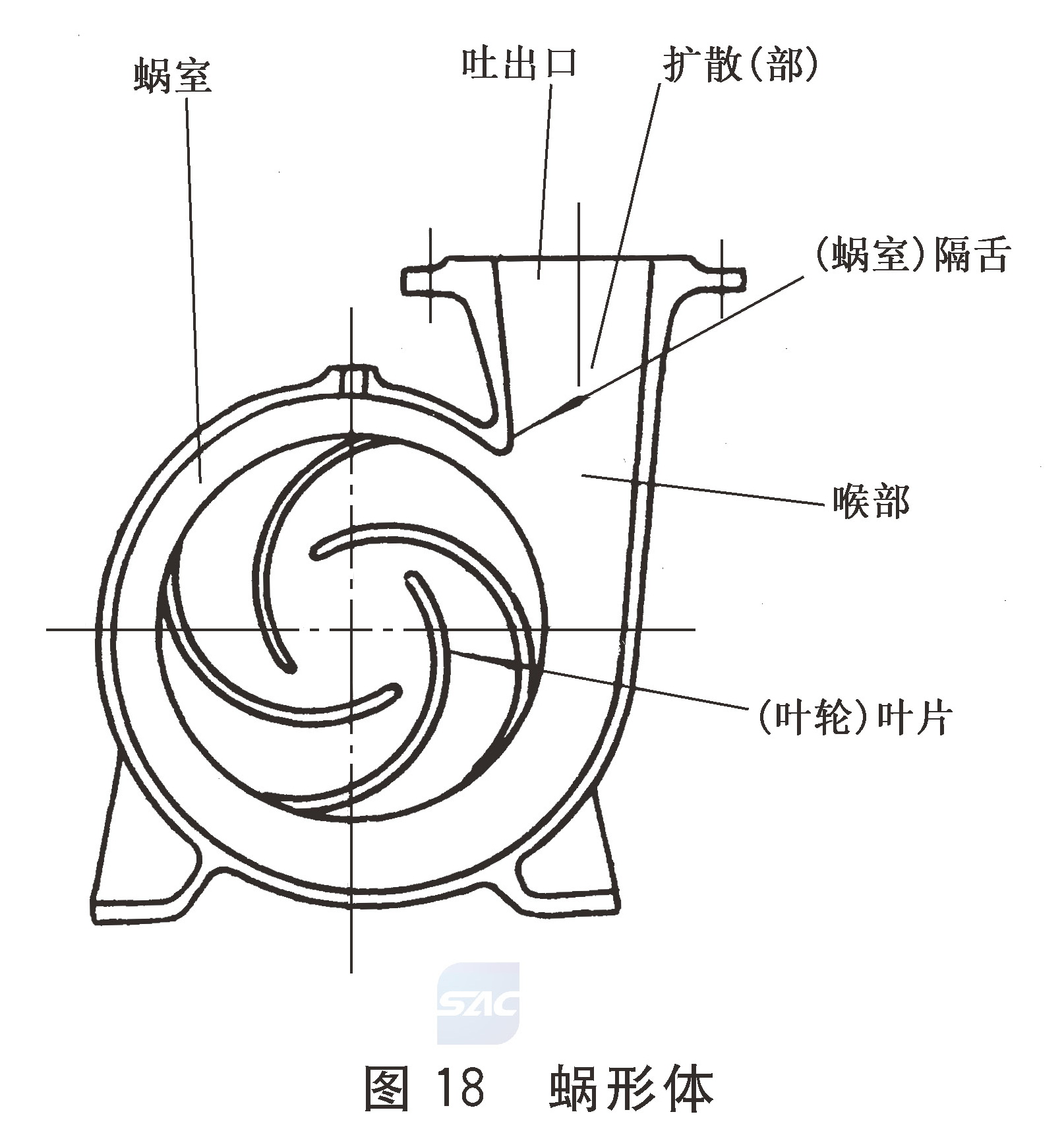 图18 蜗形体