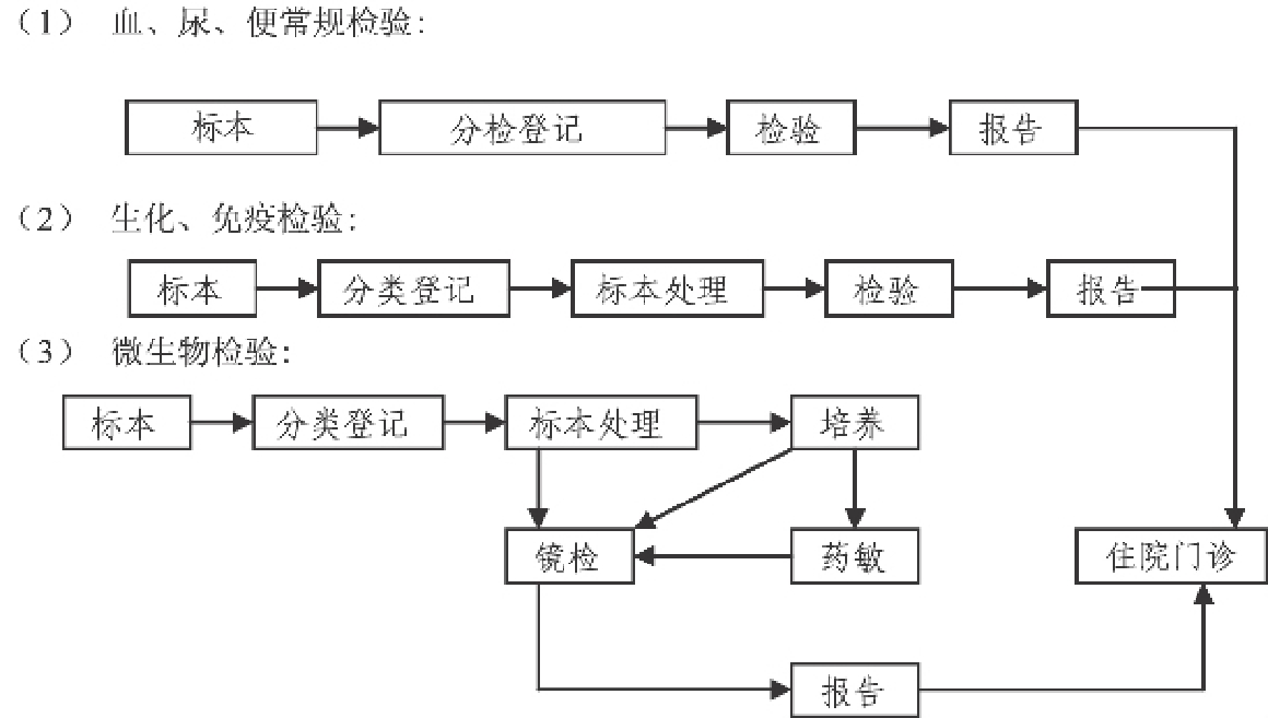 图1  检验科的工作流程 